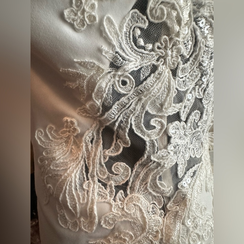 Pronovias Kaya Wedding Dress - Picture 6 of 12